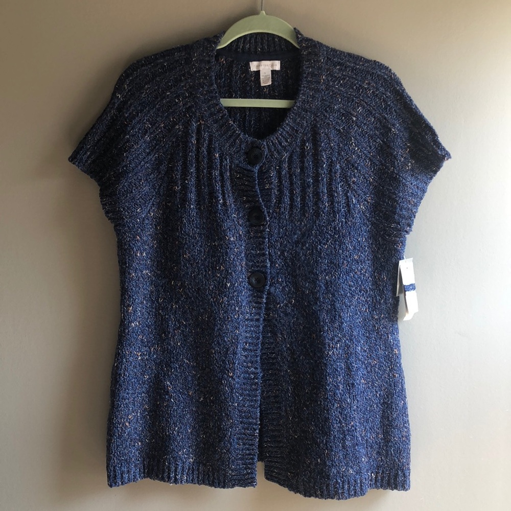 Blue Sweater